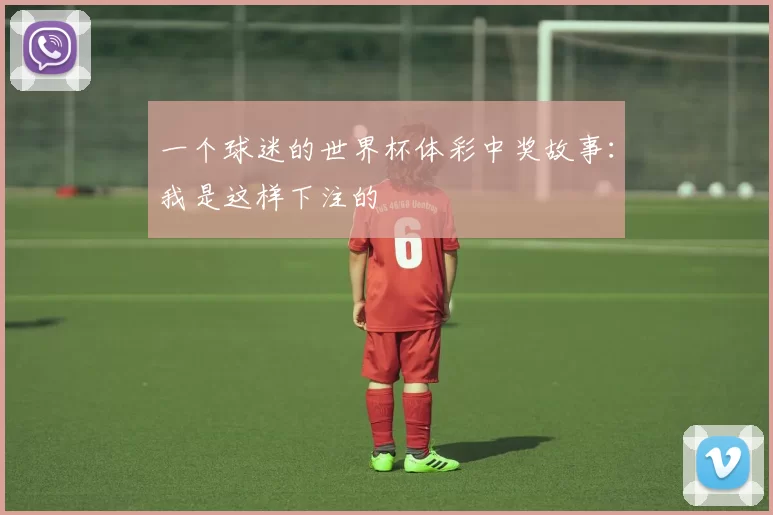 一个球迷的世界杯体彩中奖故事:我是这样下注的