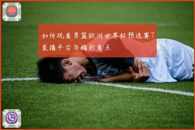 如何观看男篮欧洲世界杯预选赛？直播平台与精彩看点