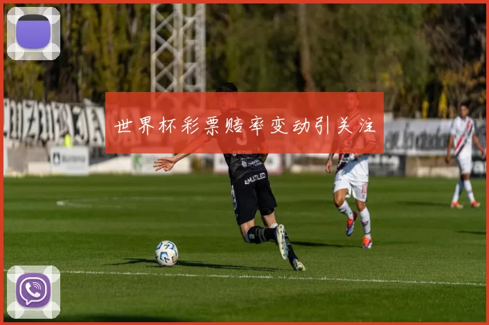 世界杯彩票赔率变动引关注