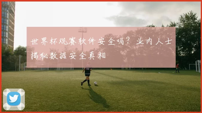 世界杯观赛软件安全吗?业内人士揭秘数据安全真相