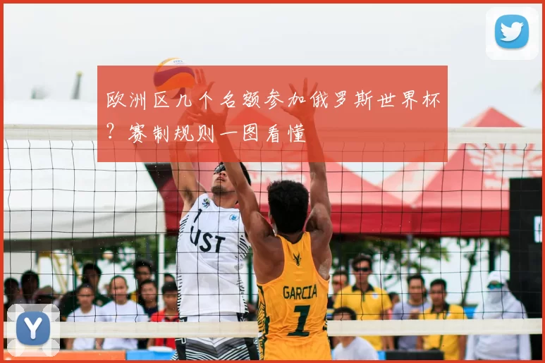 欧洲区几个名额参加俄罗斯世界杯?赛制规则一图看懂