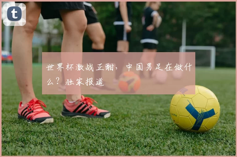 世界杯激战正酣,中国男足在做什么?独家报道