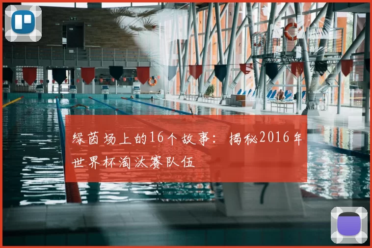 绿茵场上的16个故事:揭秘2016年世界杯淘汰赛队伍