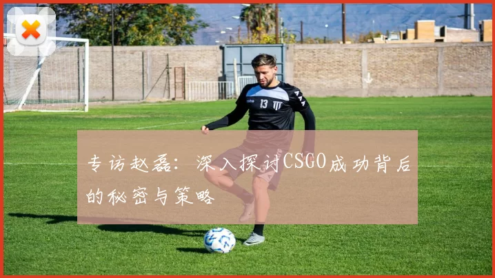 专访赵磊：深入探讨CSGO成功背后的秘密与策略