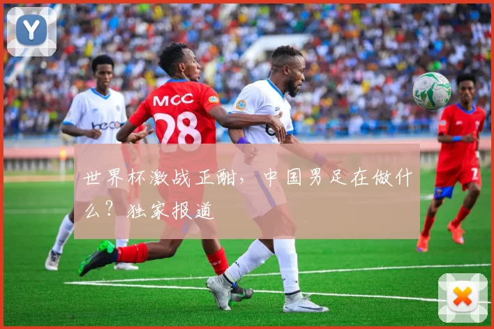 世界杯激战正酣,中国男足在做什么?独家报道