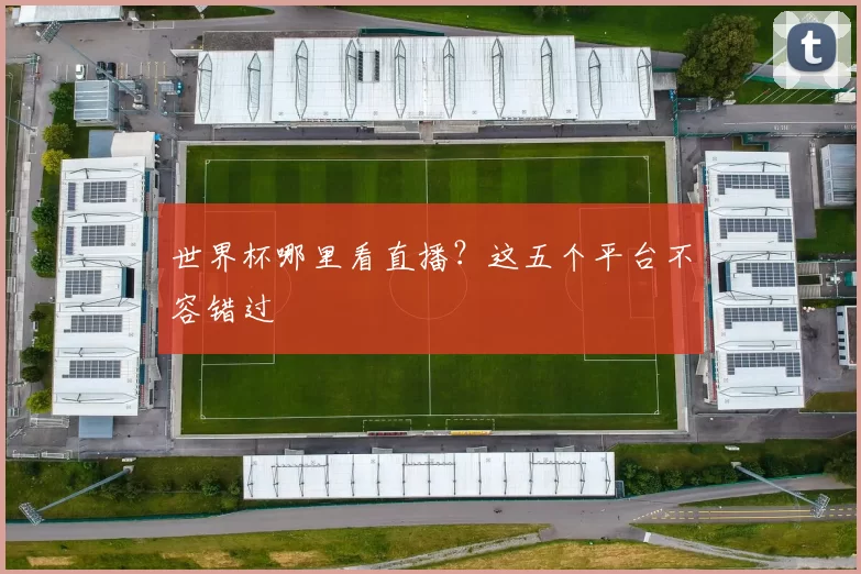 世界杯哪里看直播？这五个平台不容错过