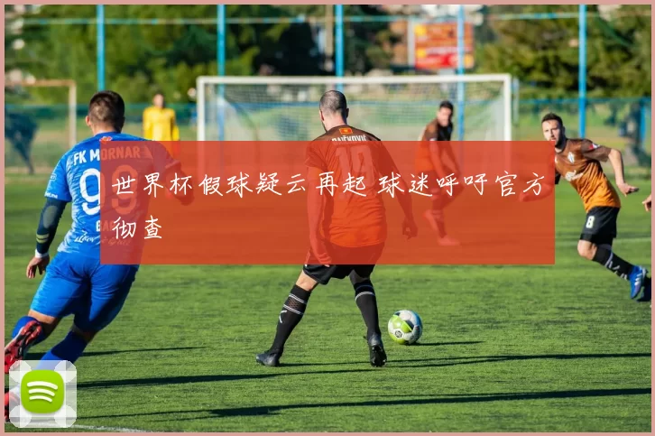 世界杯假球疑云再起 球迷呼吁官方彻查