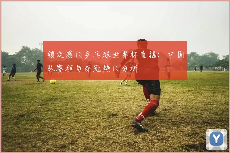 锁定澳门乒乓球世界杯直播:中国队赛程与夺冠热门分析