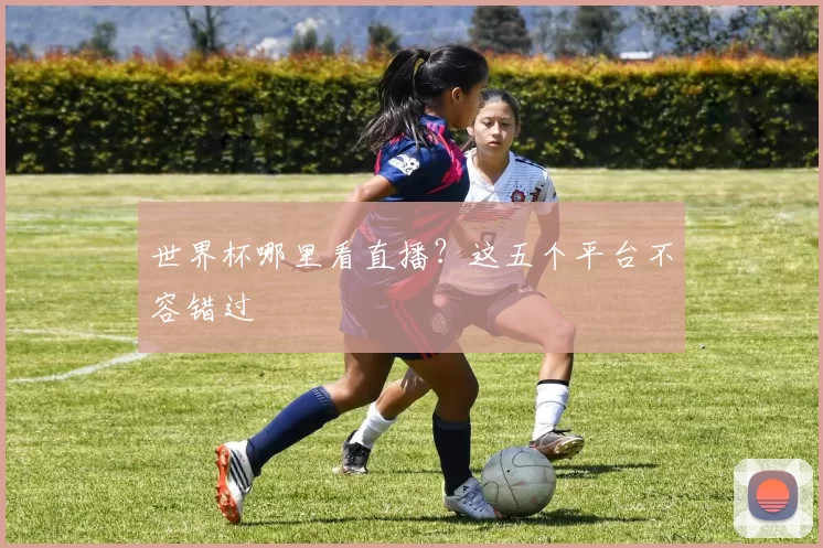 世界杯哪里看直播?这五个平台不容错过