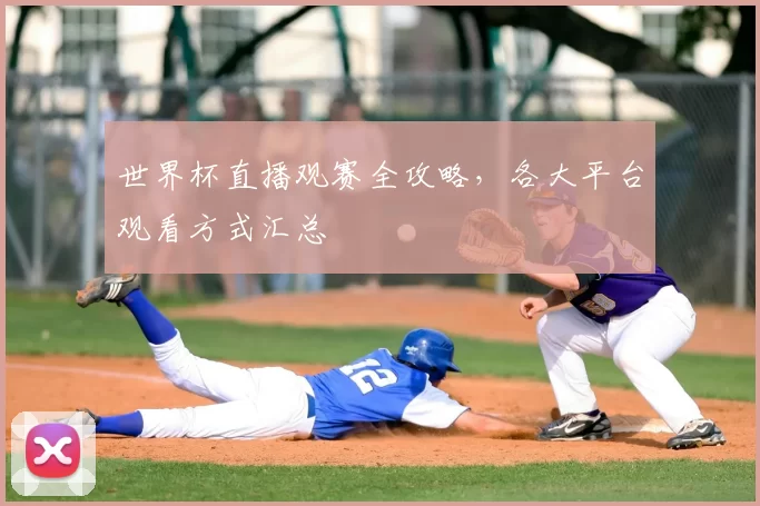世界杯直播观赛全攻略,各大平台观看方式汇总