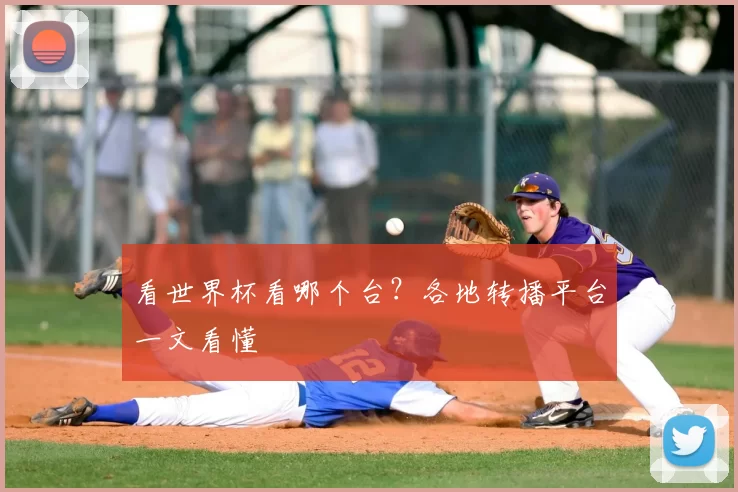 看世界杯看哪个台?各地转播平台一文看懂